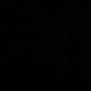 Meet your Posher, Chase